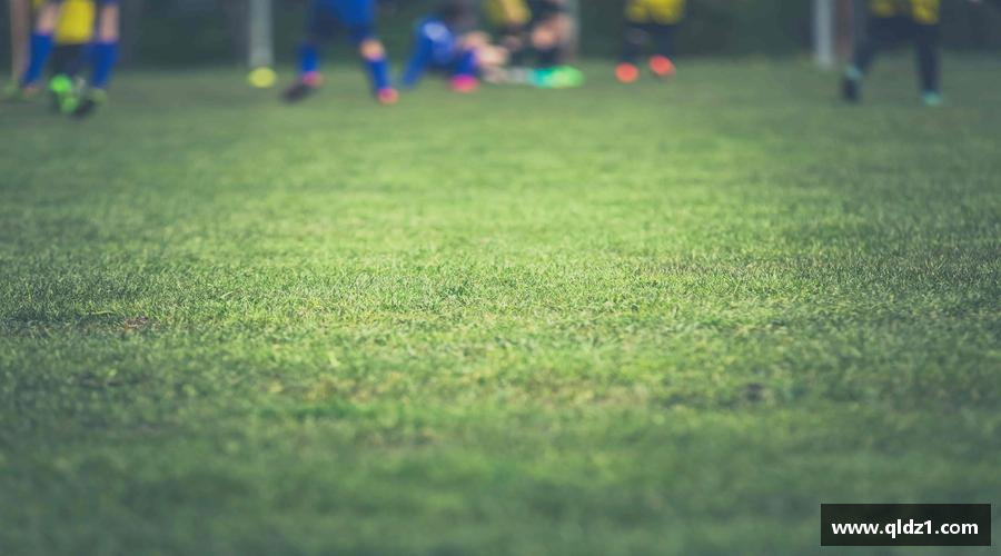 领跑者的选择，力量无限！